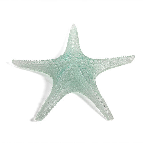 Cayo Decorative Starfish by ZODAX