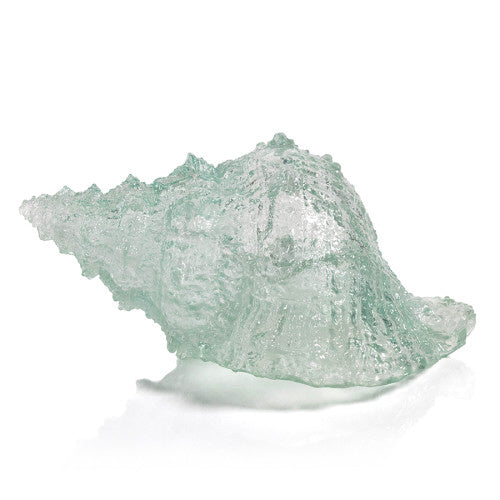 Transparent Cayo Decorative Conch Shell by ZODAX